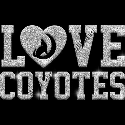 GLT51 SILVER GLITTER Thumbnail